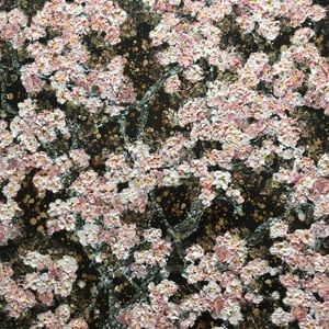 Meet your Posher, Marie